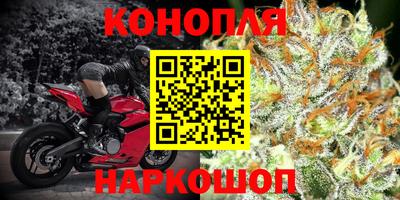 спайс Будённовск