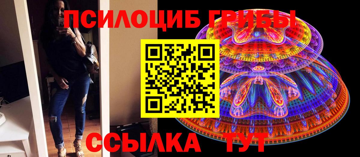 Псилоцибиновые грибы GOLDEN TEACHER Чебаркуль