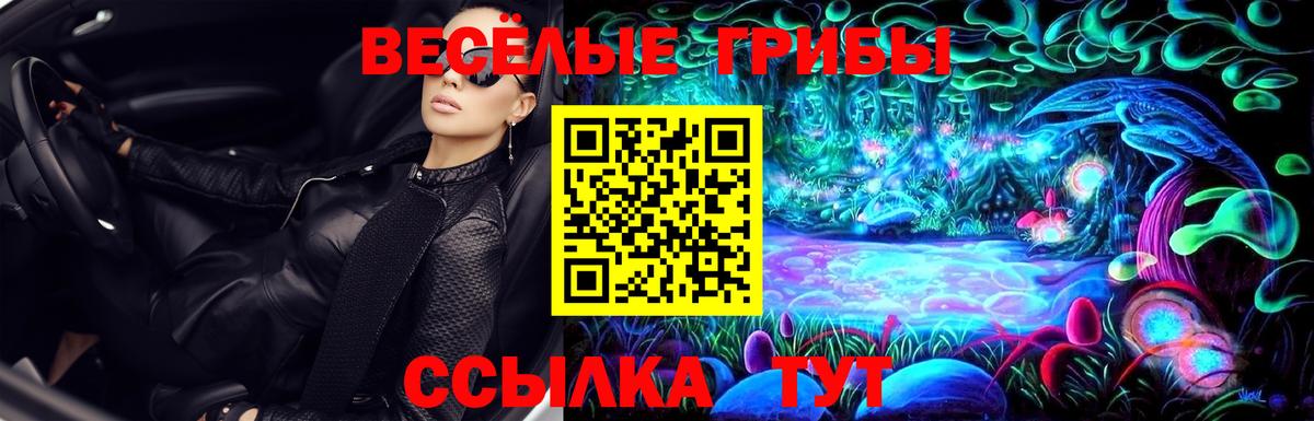 Псилоцибиновые грибы MAGIC MUSHROOMS  Вход с VPN  как найти закладки  Чебаркуль 